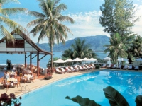 Andaman Cannacia - 