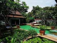 Banyan Tree - 