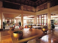 Banyan Tree - 