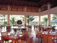 Banyan Tree - 