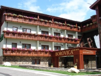 Wellness Hotel Borovica - 