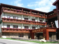 Wellness Hotel Borovica - 