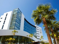 CS Madeira Atlantic Resort   Sea SPA Hotel - 