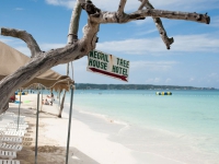 Negril Tree House - 