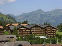 Golfhotel Les Hauts de Gstaad -  