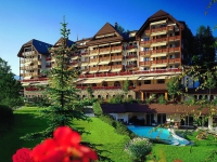 Grand Hotel Park Gstaad -   