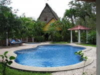 El Sueno Tropical -  