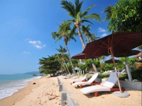 Fenix Beach Resort Samui - Fenix Beach Resort Samui