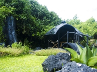 J Resort Alidhoo - J Resort Alidhoo, 5*