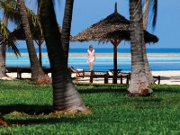 Dream Of Zanzibar -  