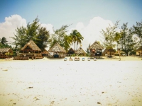 Jambo Beach Bungalows - Jambo Beach Bungalows