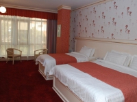 Alp Inn Hotel - 