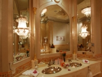 Emirates Palace -  