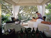 Banyan Tree -  - 