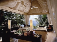 Banyan Tree -  - 