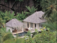 Banyan Tree - 