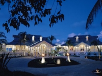 Banyan Tree -  