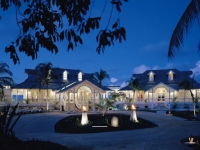 Banyan Tree -  