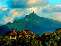 The Westin Turtle Bay Resort   Spa - 