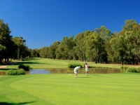 Le Meridien Penina Golf   Resort - -