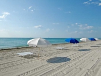 Miami Beach Resort   SPA - 