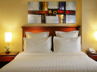 Auris Lodge Hotel -  