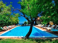 Alberi Del Paradiso -  