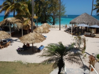 Whala Bavaro -  