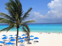 The Reef Playacar - 