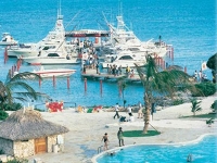 Punta Cana Resort   Club -   