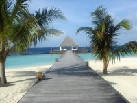 Coco Palm Bodu Hithi - 