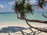 Dhoni Island - 