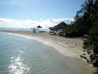 Gangehi Island Resort - 