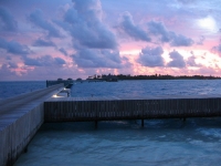 Conrad Maldives Rangali Island -   