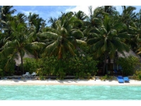 Vilu Reef Beach and Spa Resort - 