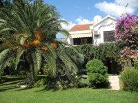 Lidia -  