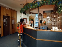 Hotel Sasanka - 
