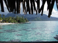 Hilton  Moorea Lagoon Resort   Spa (ex.Sheraton) -     