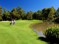 Le Meridien Penina Golf   Resort - -