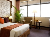 Hotel Grand Pacific -  