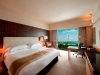 Mandarin Oriental Hotel Singapore - 