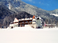 Hotel Alpenschloessl - 