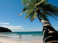 Punta Leona Beach Resort - 