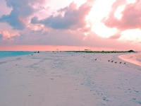 J Resort Alidhoo - J Resort Alidhoo, 5*