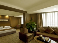 Nikko New Century - 