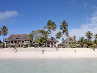 Blue Oyster -    