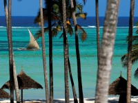 Dream Of Zanzibar - 