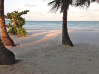 Pongwe Bay Resort - 