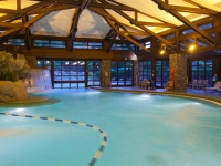 Disneys Sequoia Lodge -  