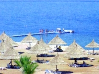 Sheraton Sharm -   